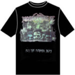 Heir Corpse One ‎–Fly The Fiendish Skies T-shirt X-large